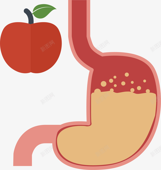 人体胃部矢量图ai免抠素材_88icon https://88icon.com 器官 生物医药 生物医药产业 生物医药展板 生物医药广告 生物医药整容 苹果 矢量图