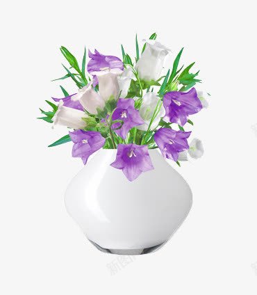 白色花瓶中的花png免抠素材_88icon https://88icon.com 家居 白色 紫色