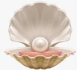珍珠贝壳美容护肤品保健品素材