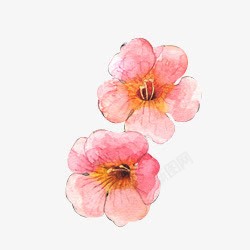 彩色手绘樱花花朵素材