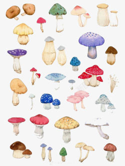 彩色蘑菇水彩蘑菇高清图片