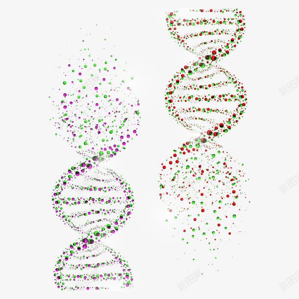 基因png免抠素材_88icon https://88icon.com DNA DNA遗传基因 人类基因 医疗科学 基因 干细胞 生物学 细胞