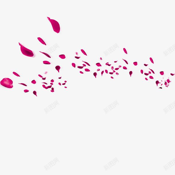 玫瑰花瓣海报底纹png免抠素材_88icon https://88icon.com 万人相亲大会 为爱出发 插图 海报设计底纹 玫瑰花瓣 相亲大会 相遇 缘来是你 遇见