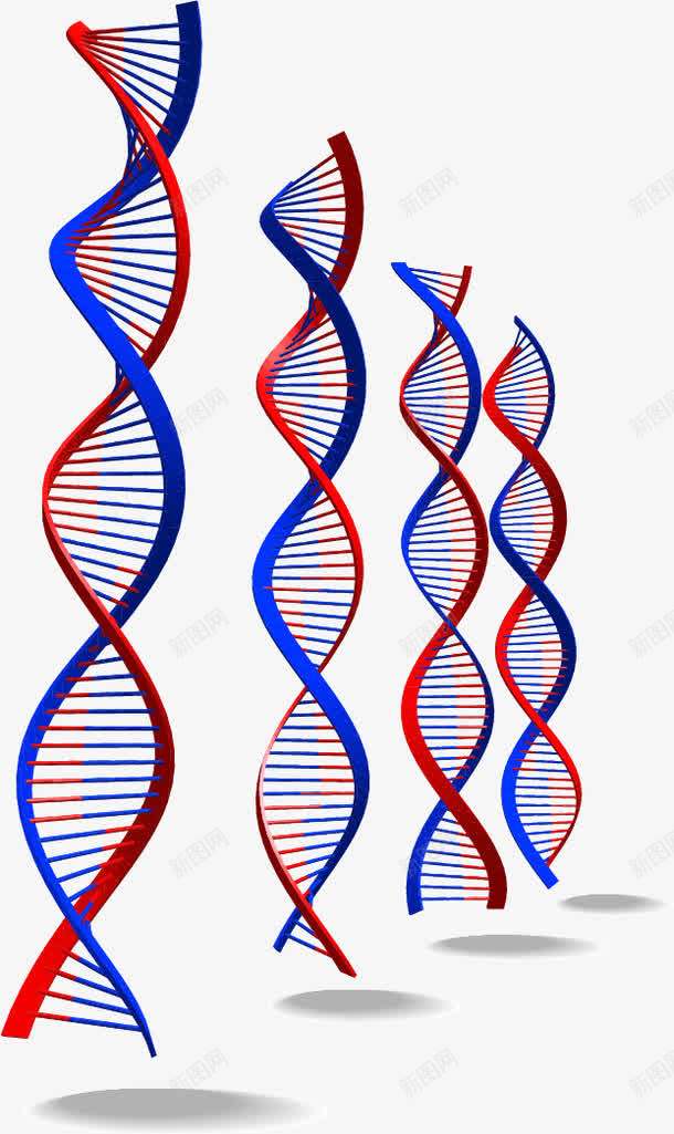 DNA螺旋图案png免抠素材_88icon https://88icon.com DNA DNA双螺旋结构图片 分子结构 染色体 生物 螺旋