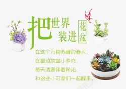 盆栽艺术把世界装进花盆高清图片