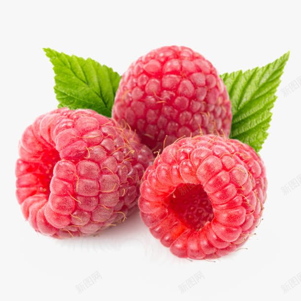 三个覆盆子png免抠素材_88icon https://88icon.com 三个覆盆子 实物 树莓 欧洲树莓 水果 覆盆子 食物