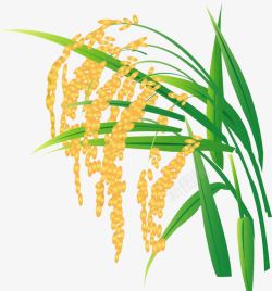 绿色矢量麦穗稻子高清图片