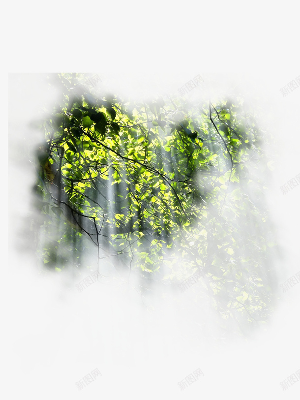 春天绿色树林阳光透过树林png免抠素材_88icon https://88icon.com 春天 树林 绿色 阳光透过树林