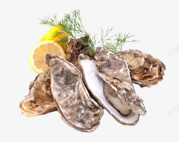新鲜海蛎子png免抠素材_88icon https://88icon.com 新鲜食材 柠檬片 水产品 海蛎子 海鲜 生鲜 美食 食物