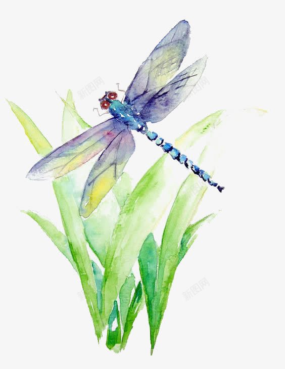 水彩蜻蜓png免抠素材_88icon https://88icon.com 夏天 昆虫 植物 水彩 生物 蜻蜓