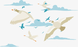 春天鸟群空中飞翔的白色天鹅高清图片