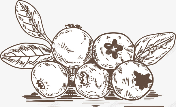 手绘风格卡通蔓越莓矢量图eps免抠素材_88icon https://88icon.com 卡通蔓越莓 手绘 手绘风格 水果 矢量蔓越莓 红色 黑白 矢量图