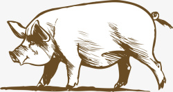 家猪手绘家养猪猪蹄透明高清图片