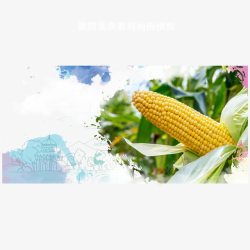 农产品公司折页农业宣传高清图片