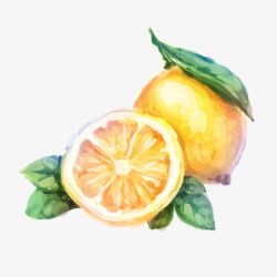 水彩西柚水彩黄柠檬元素高清图片