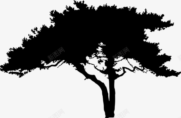 树枝大树剪影图标图标