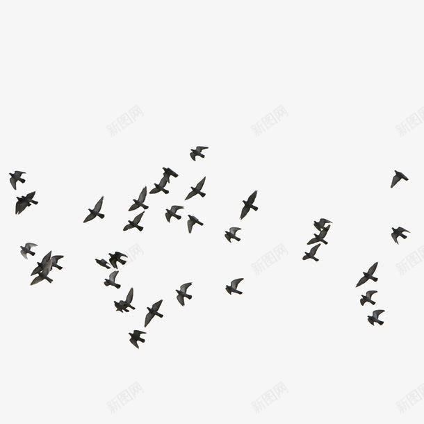 飞翔的鸟群剪影png免抠素材_88icon https://88icon.com 剪影 动物 南迁 小鸟 成群结队 百鸟图 空中的鸟 飞翔 飞翔的鸟 飞行 鸟 鸟类 鸟群