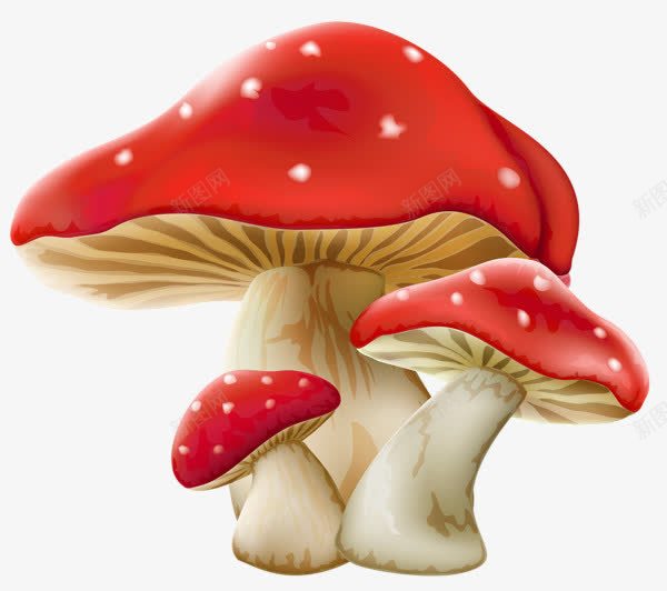 红色蘑菇png免抠素材_88icon https://88icon.com 卡通 手绘 红色 蘑菇