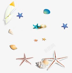 海洋主题手绘贝壳高清图片
