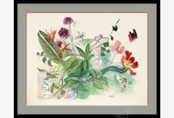 中堂画图片素材手绘装饰画素描植物装饰画高清图片
