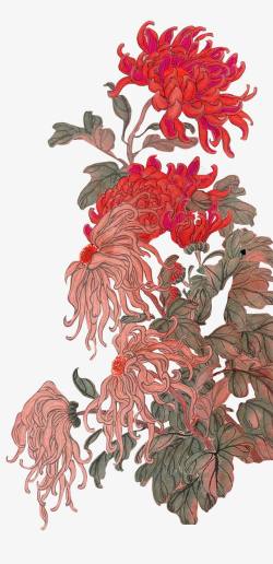 红色菊花工笔画装饰图案素材