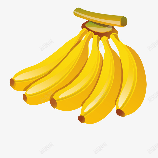 美味香蕉矢量图ai免抠素材_88icon https://88icon.com 大香蕉大 水果 矢量图 美味 香蕉
