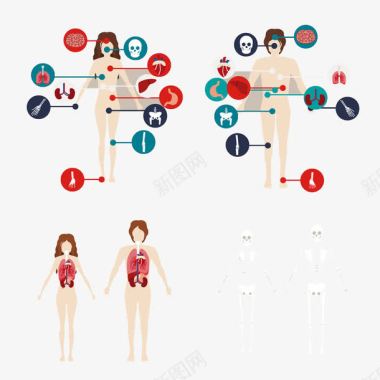 人体内脏结构图标图标
