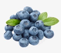 蓝色浆果实物一堆带叶子的野生蓝莓高清图片