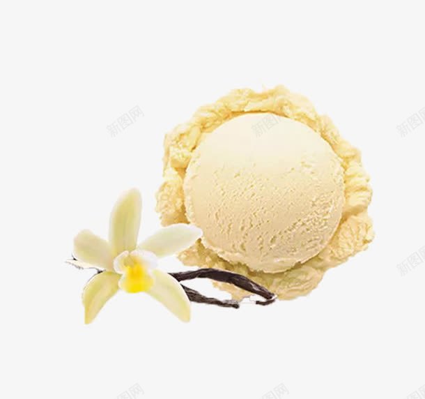 哈根达斯冰淇淋png免抠素材_88icon https://88icon.com 产品实物 冰淇淋 冻品 哈根达斯 甜品 花朵