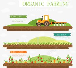 创意有机农业信息图素材