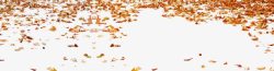 飘飞的枫叶秋天的落叶高清图片