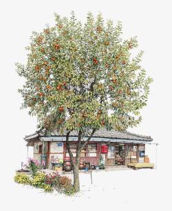 杂货店招牌手绘橘子树下的杂货店高清图片