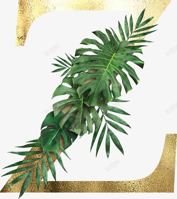 创意植物字母Zpng免抠素材_88icon https://88icon.com PNG 字母 森林 植物 金色