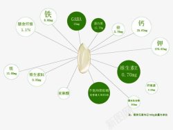 大米粒大米营养分析图高清图片