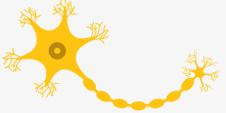 黄色长条形神经细胞矢量图素材