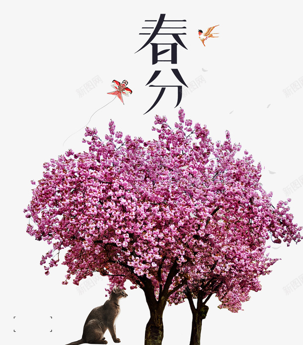 二十四节气之春分盛开的花朵主题psd免抠素材_88icon https://88icon.com 中国节气 二十四节气 传统节日 小清新 春分 春天 春季 春意 植物 绿意