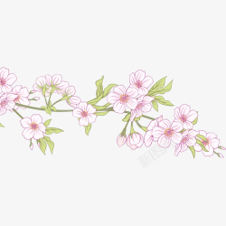 手绘樱花树枝插画矢量图素材