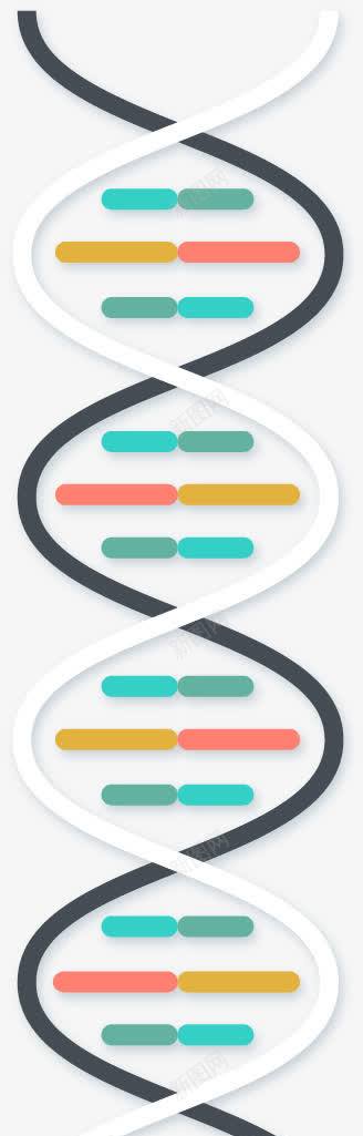 dnapng免抠素材_88icon https://88icon.com dna 分子 化学成分 原子 基因 实验 科学