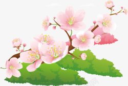 绿色花蕊春分花朵美丽春天多彩自然素矢量图高清图片