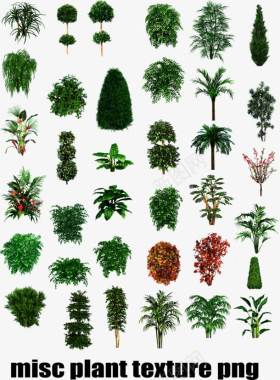 绿色植物树木灌木丛图标图标