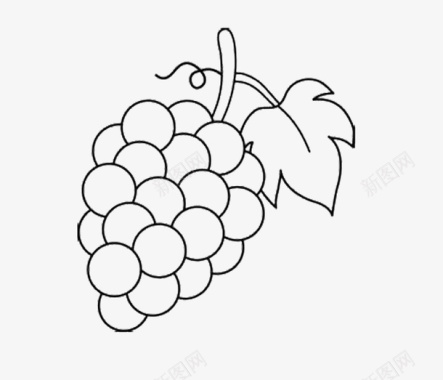采摘葡萄无色可爱葡萄简笔画图标图标