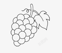 饱满的葡萄串无色可爱葡萄简笔画图标高清图片