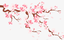 春天花卉装饰樱花花枝矢量图高清图片