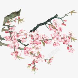 春季踏青旅行桃花花朵花卉图案水素材