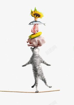 玉米锅巴鸡蛋创意猫咪粮食高清图片