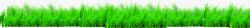 绿色小草世界环境日展板素材