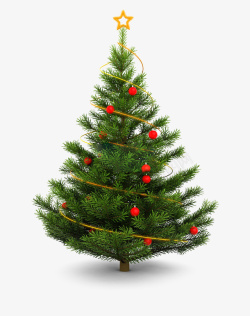 一棵树一棵绿色圣诞树高清图片