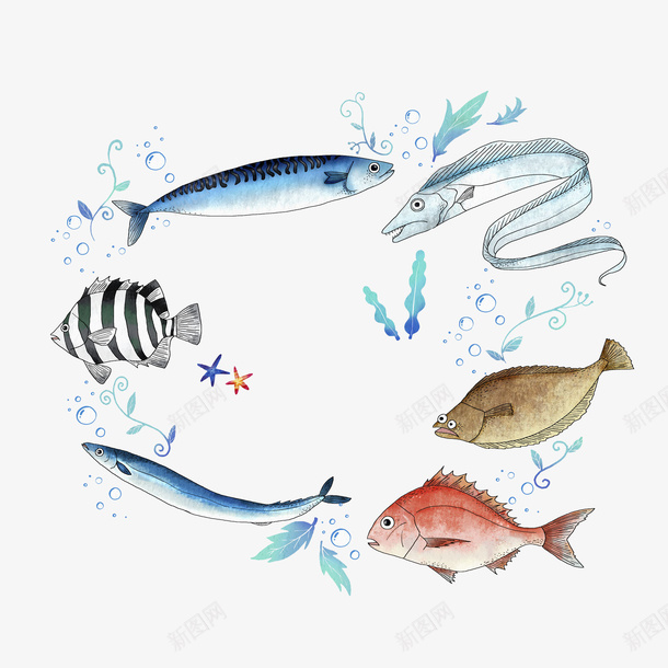 手绘海洋馆png免抠素材_88icon https://88icon.com 多彩 带鱼 手绘 插画 海星 海洋 简约 金鱼