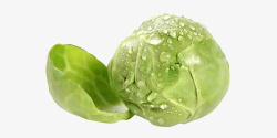 小卷心菜绿色带水滴新鲜绿甘蓝高清图片