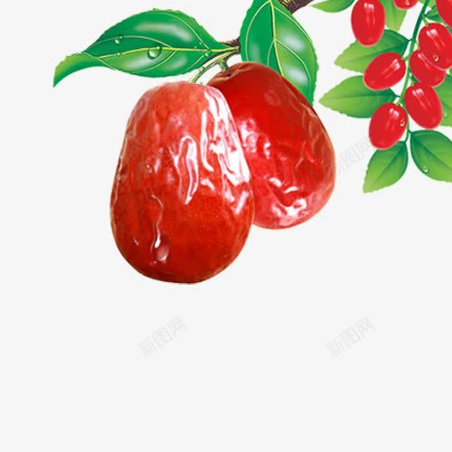 大红枣树png免抠素材_88icon https://88icon.com 大红枣 枣树 树 植物 水果树 红色 绿色